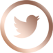 Follow us on twitter